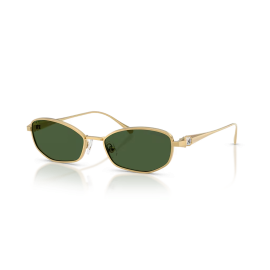 Swarovski SK7042