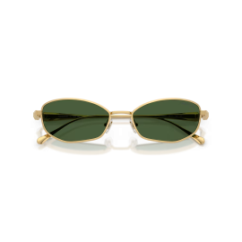 Swarovski SK7042
